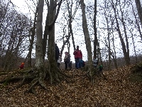 p1090546.jpg