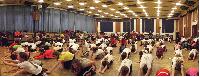 dscf1296.jpg
