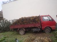 dsc05252.jpg