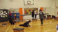 dscf1611.jpg