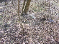 dscf0035.jpg