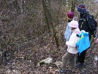dscf0037.jpg