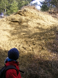 dscf0040.jpg