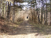 dscf0041.jpg
