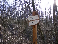 dscf0043.jpg
