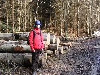 dscf0065.jpg