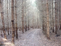 dscf0066.jpg