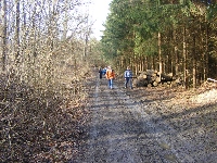 dscf0067.jpg