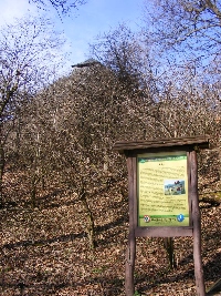 dscf0098.jpg
