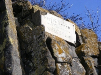 dscf0103.jpg