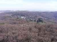 dscf0115.jpg
