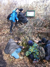 dscf0131.jpg
