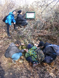 dscf0132.jpg