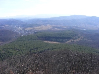 dscf0137.jpg