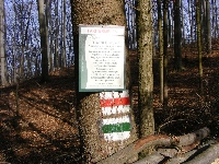 dscf0153.jpg