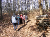 dscf0154.jpg