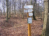 dscf0155.jpg