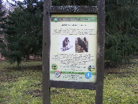dscf0157.jpg