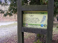 dscf0159.jpg