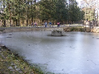 dscf0169.jpg
