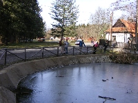 dscf0170.jpg