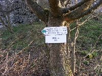 dscf0216.jpg