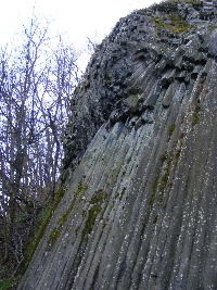 dscf0219.jpg