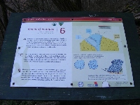 dscf0230.jpg