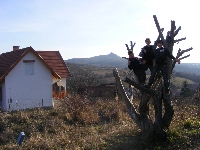 dscf0240.jpg