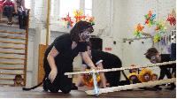 dscf2470.jpg