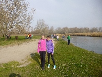 p1100564.jpg