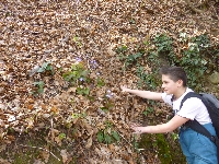 p1100584.jpg