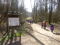 p1100591.jpg