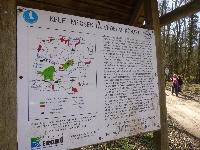 p1100592.jpg