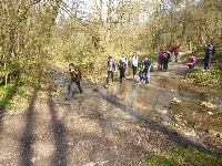 p1100599.jpg