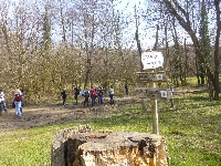 p1100600.jpg