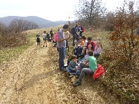 p1100615.jpg