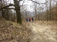 p1100620.jpg