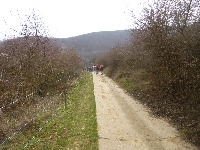 p1100622.jpg