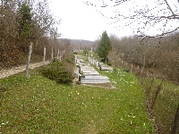 p1100625.jpg