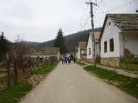 p1100647.jpg