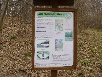 p1100651.jpg