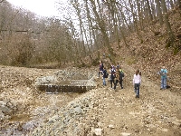 p1100658.jpg