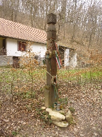 p1100670.jpg