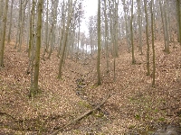 p1100674.jpg