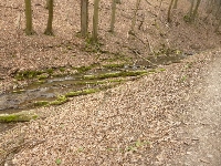 p1100675.jpg