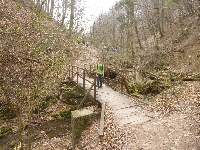 p1100679.jpg
