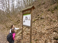 p1100683.jpg