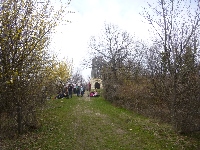 p1100698.jpg