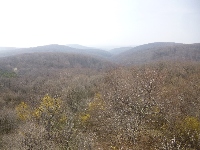 p1100701.jpg
